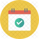 Kalender Prufen Datum Icon