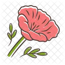 Kalifornien Mohn Papaver Icon