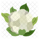 Blumenkohl  Symbol