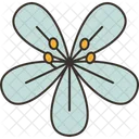 Kalong Flower Blossom Icon