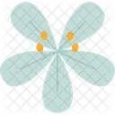 Kalong Flower Blossom Icon