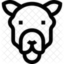 Kamel Arabischer Mann Arabische Frau Symbol