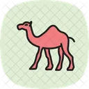 Kamel Symbol