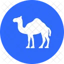 Kamel  Symbol