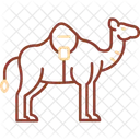 Kamel  Symbol