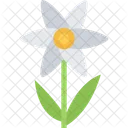 Kamille Blume Naturliche Icon