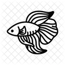 Kampffisch Kampffisch Fisch Symbol