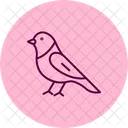 Kanarienvogel  Symbol