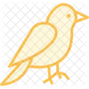 Kanarienvogel Haustier Vogel Icon