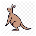Kangaroo Filled Line Icon