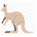 Animal Animal Kangaroo Icon