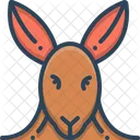 Kangaroo Animal Face Icon