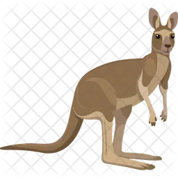 Kangaroo Icons in SVG, PNG, AI to Download