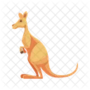 Kangaroo Mammal Australia Icon