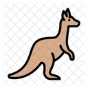 Kangaroo Mammal Zoo Icon