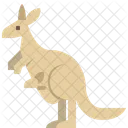 Kangaroo Australia Animal Icon