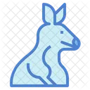 Kangaroo  Icon
