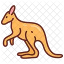 Kangaroo Wildlife Animal Icon