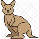Kangaroo Marsupial Mammal Icon