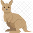 Kangaroo Marsupial Mammal Icon