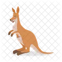 Kangaroo Isolated Australian Icon