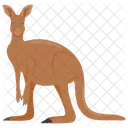 Kangaroo  Icon