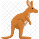 Kangaroo  Icon