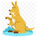Kangaroo  Icon
