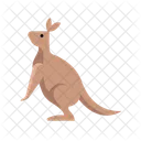 Kangaroo Flat Icône