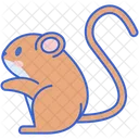 Kangaroo Rat  Icon