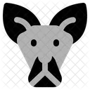 Känguru  Symbol