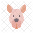 Känguru  Icon