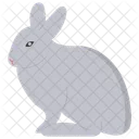 Kaninchen Hase Kaninchen Symbol