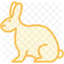 Kaninchen Haustier Hase Icon