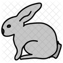 Kaninchen Haustier Hase Icon