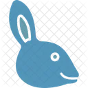 Kaninchen Hase Kaninchen Symbol