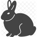 Kaninchen Hase Tiere Symbol