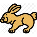 Kaninchen Hase Haustier Icon