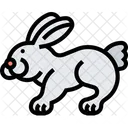 Kaninchen Hase Haustier Icon