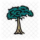 Kapok Tree Jungle Icon