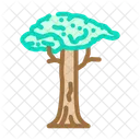 Kapok Tree  Icon