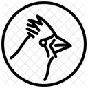 Kardinal Vogelgrippe Vogel Symbol