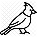 Kardinal Vogel Rot Symbol