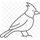 Kardinal Vogel Rot Symbol