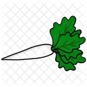 Karotten Pastinake Salat Symbol