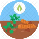 Bio Lebensmittel Und Landwirtschaft Karotten Bauernhof Symbol