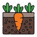 Karotte  Symbol