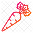 Karotte  Symbol