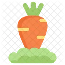 Karotte  Symbol