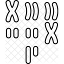 Karyotype  Icon